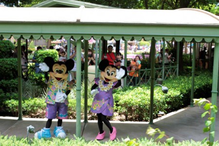 Disneyland, junamatkalla bongattu.