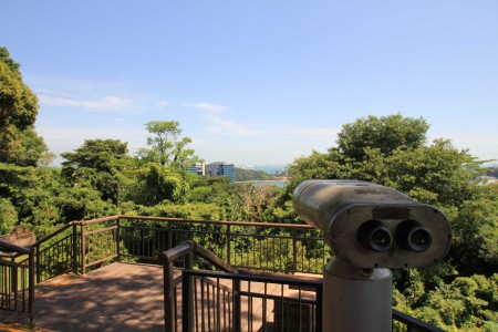 Mount Faber