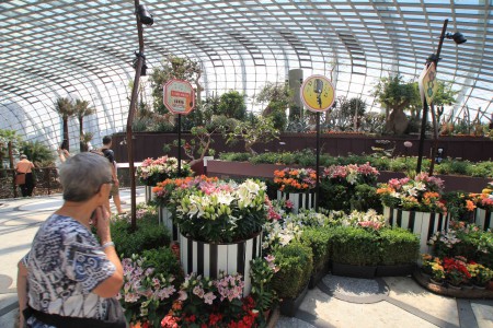 Flower Dome