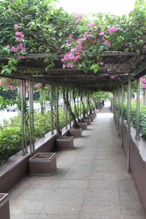 Istana Park, osittain auki