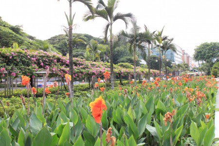 Istana Park, osittain auki
