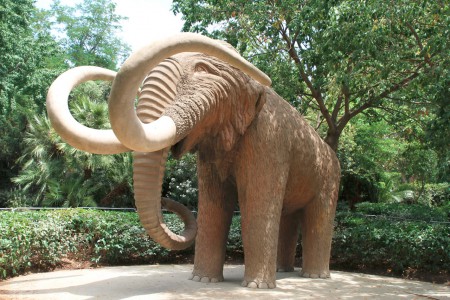 Parc de la Ciutadella - mammutti