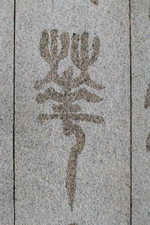 Longhua - vallankumouksellisten marttyyrien muistoalue - vesikirjoitusta