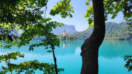 Bled järvi ja luostari