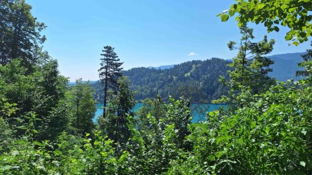 Matkalla Bledin linnaan