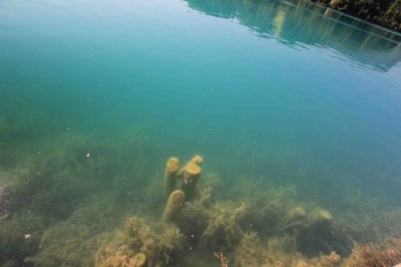 Bled järvi - aika kirkasta