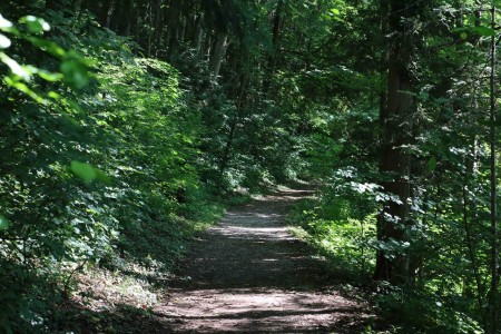 Matkalla Bledin linnaan