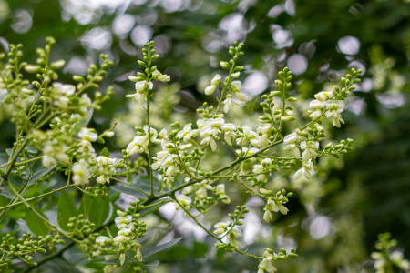 Kohti hotellia, mutkan kautta