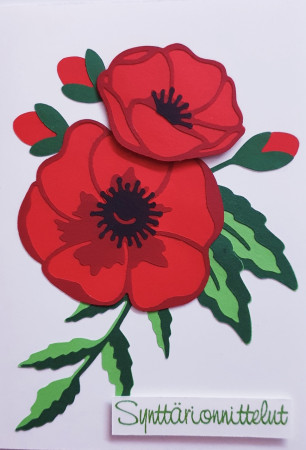 Synttärikortti 2023