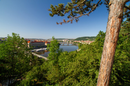 Vltava