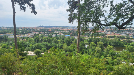 Eläintarhan huipulla