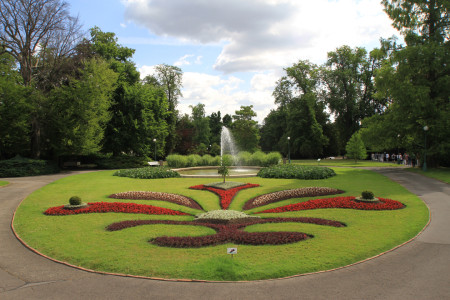 Kuninkaallinen puutarha