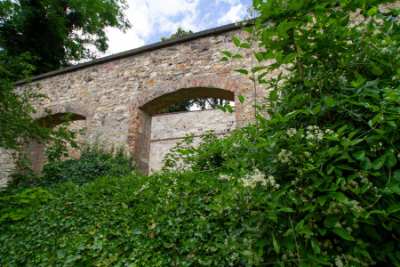 Kuninkaallisen puutarhan muurit