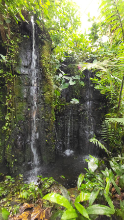 Prahan kasvitieteellinen puutarha