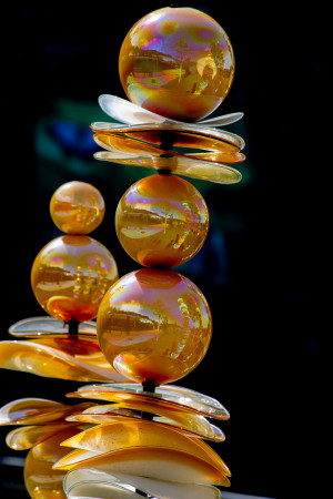 Prahan kasvitieteellinen puutarha