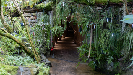 Prahan kasvitieteellinen puutarha