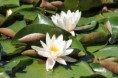 /album/paiva-55/img-0938-jpg/