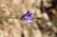 /album/paiva-55/img-0950-jpg/