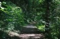 /album/paiva-55/img-5394-jpg1/