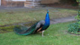 /album/paiva-57/img-1120-jpg/