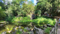 /album/paiva-87/20250627-101905-jpg/
