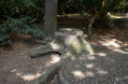 /album/paiva-87/img-1285-jpg/